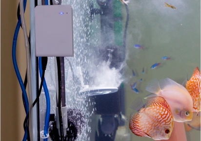 Aquarium Filters